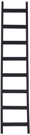 ml-458902-steps-ladder-burned-black