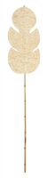must-living-blad-persica