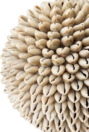 ml-855924-sand-shell-ball-white-detail