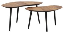 Large-HI 301180 Organus coffee table natural set of 2_2_1288762595531
