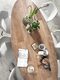 Web_Test-MA-940457-Darwin-dining-table-ML-749515-Bloom-side-chair_sf2b_DTP