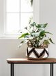 Web_Test-ML-842910-Mendoza-basket_sf1_DTP