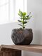 ML-430944-Coral-bowl_sf1_DTP