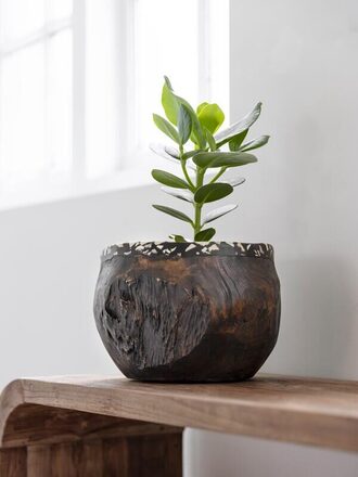 ML-430944-Coral-bowl_sf1_DTP