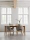 AP-461731-Apollo-dining-table-170-ML-749016-Blossom-dining-chair-Polaris-brown_sf1_DTP