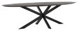 Large-BT-611385-Timeless-Shape-dining-table-oval-black-280_2