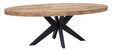 Large-MA-940455-Darwin-dining-table-220-oval_2
