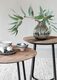 Large-HI-301140-HI-301142-Neptunes-coffee-table-natural_sf1_DTP