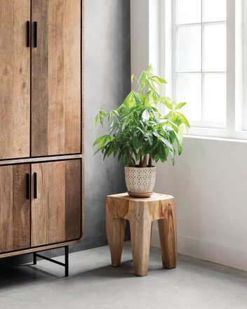 Large-ML-456030-Vito-stool-Natural_sf2_DTP