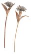 Large-ML-524317-Rattan-flower-Light-Grey_2
