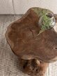 Large-ML-456024-Mushroom-stool-Natural_sf1_DTP