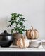Large-ML-353920-Pumpkins-set-of-2_sf1_DTP