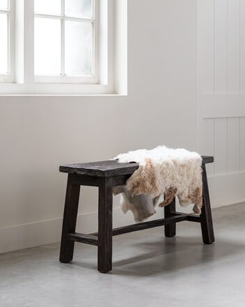 Large-ML-456041-Trinity-bench-Brown_sf1_DTP