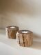 Large-ML-852016-Fossil-candleholder_sf1_DTP