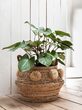 Large-ML-842914-Rio-basket_sf1_DTP