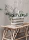 Large-ML-920024-Portobello-Market-shopper-ML-520043-San-Antonio-Bench_sf1_DTP