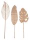 Large-ML-524344_524345_524346-leafs-large_1