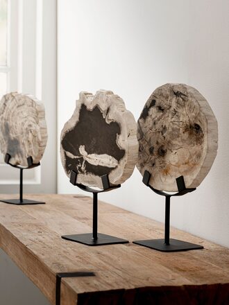 Large-ML-890932-Fossil-statue_sf1_DTP