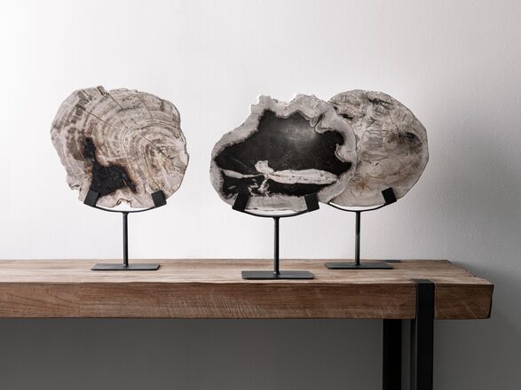 Large-ML-890932-Fossil-statue_sf2_DTP