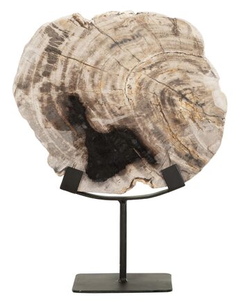 Large-ML-890932-Fossil-statue_1