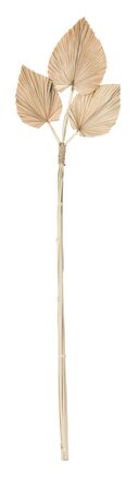 Large-ML-842795-Palm-leaf-trio_1