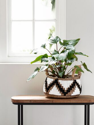 Large-ML-842910-Mendoza-basket_sf1_DTP