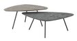 Large-SC-180626-Plectro-Earth-coffee-table-set-of-2_1