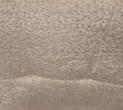 Dea detail