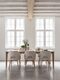 AP-461733-Apollo-dining-table-230-ML-749015-Blossom-dining-chair-Polaris-natural_sf1_DTP