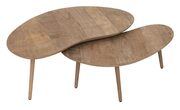 AP-461500-Apollo-coffee-table-set-of-2_2