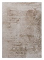 ml-981113-lodge-carpet-rectangular-small-taupe1_126625757147083093529428
