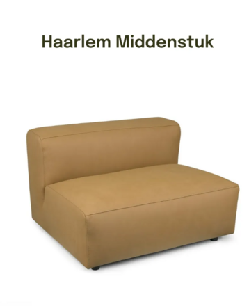 haarlem midden