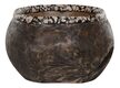 ML-430944-Coral-bowl_1
