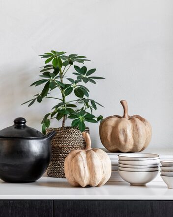 ML-353920-Pumpkins-set-of-2_sf1_DTP