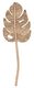 ML-524349-Peach-leaf-small_1