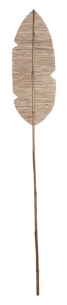 ML-530815-Banana-leaf-175_2