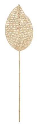 ML-842791-Ageal-leaf_1