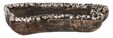 Large-ML 430953 Coral tray_1_6888762583897
