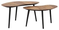Large-HI 301180 Organus coffee table natural set of 2_2_1288762595531