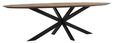 TI-601384-Shape-dining-table-oval-280_2
