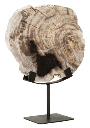 ML-890932-Fossil-statue_2
