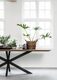 TI-520637-Curves-dining-table_sf1_DTP-jpg