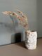 ML-852015-Apollo-vase_sf1_DTP