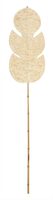 large-ml-842790-persica-leaf2_8788764434593