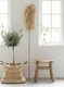 ML-530817-Sisal-Leaf-ML-Bohemian-stool-ML-Palette-basket_sf1_DTP