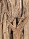 ML-833570-Forest-floorlamp-Natural_2