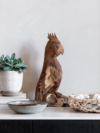 ML-353501-Rio-parrot_sf1_DTP