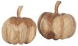 ML-353920-Pumpkins-set-of-2_2