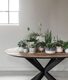 TI-601105-Shape-dining-table_sf1b_DTP