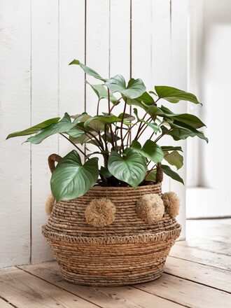 ML-842914-Rio-basket_sf1_DTP